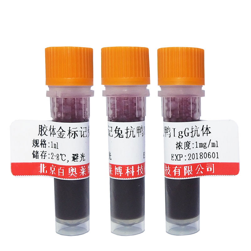 胶体金标记兔抗鸭IgY/IgG(H+L)抗体图片